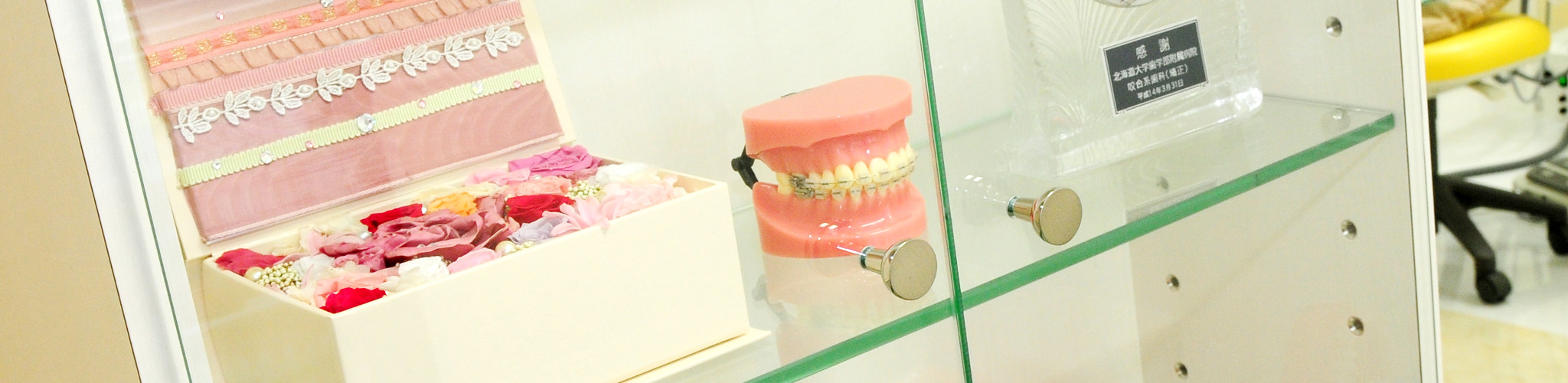 札幌市白石区南郷13丁目にあるリーサ矯正歯科 大人の矯正